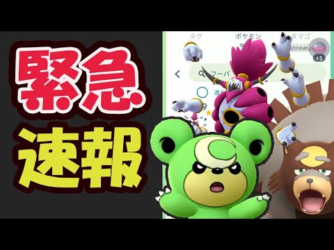 【緊急速報】突然ヒメグマコミュデイ開始前に〇〇が可能に！今のうちにコレを【ポケモンGO直前準備＆判明】