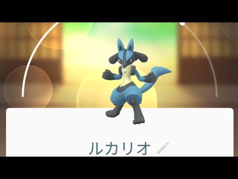 ポケモンGO ルカリオ 進化！！