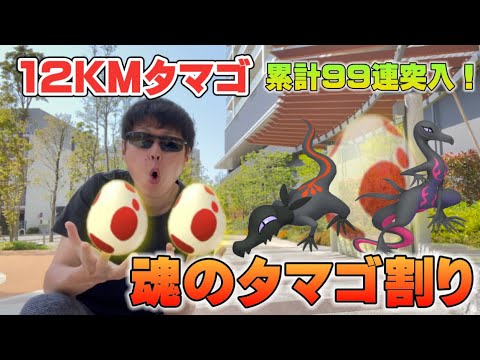 12KMタマゴ99連目！念願のヤトウモリ♀を出せるのか！？エンニュートにいい加減進化させたい！【ポケモンGO】