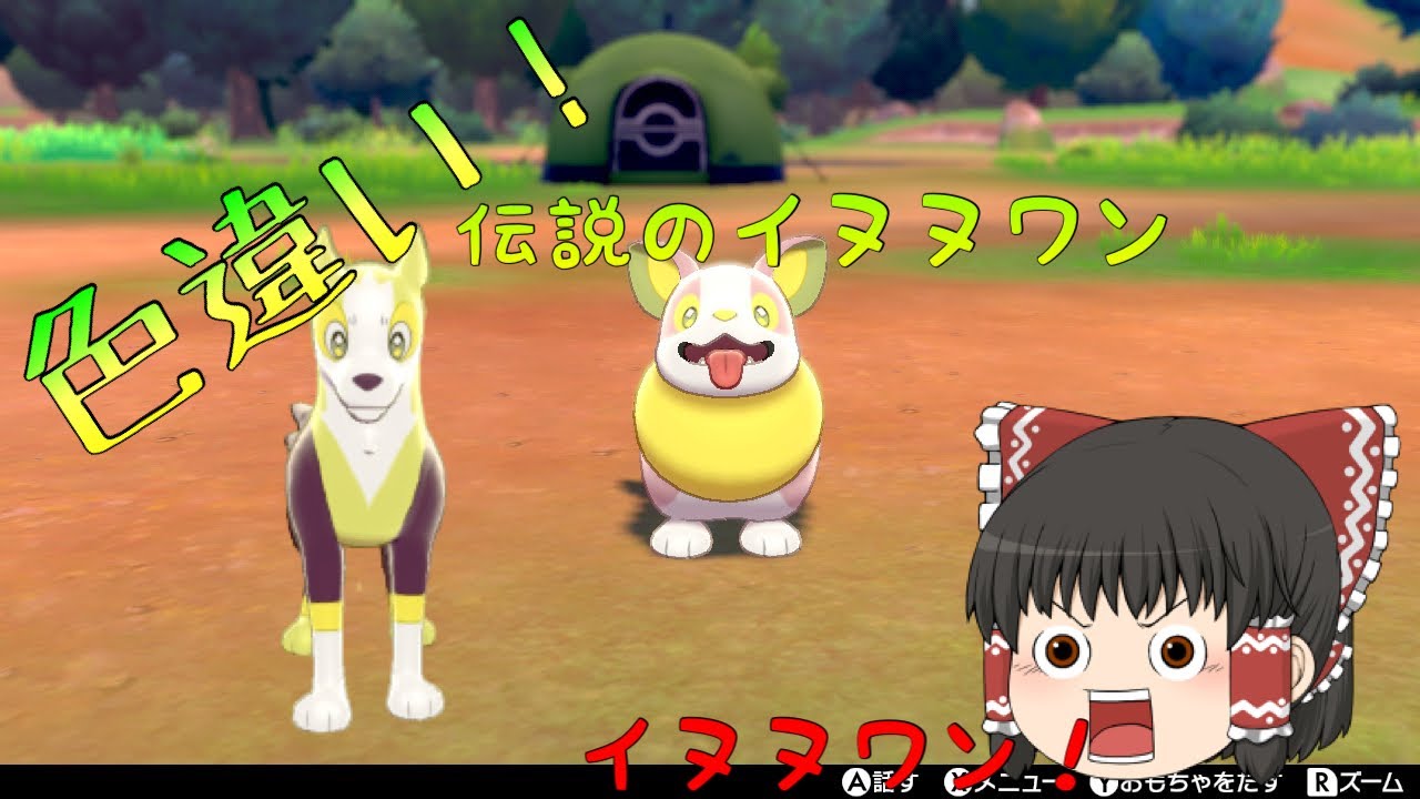 【ポケモン色違い】イヌヌワン！ソニアの愛犬 色違いワンパチ ゆっくり実況