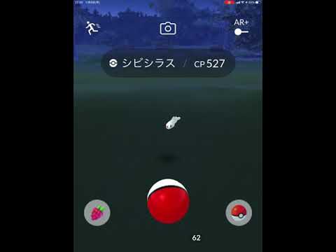 ポケモンGO シビシラス　Pokémon
