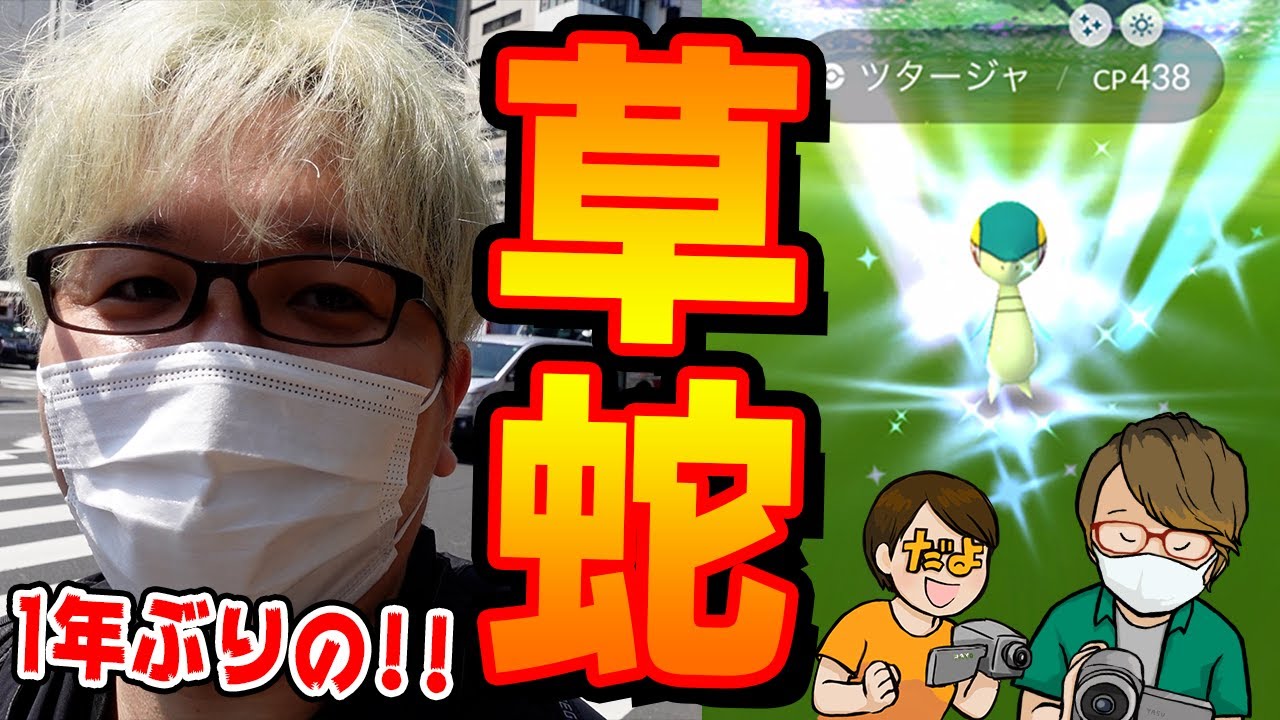 やすだよやまだでツタージャコミュデイ!!!!すっげぇ絵が撮れまくりーの色違いも取れまくりーの!!【ポケモンGO】