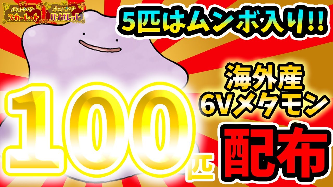 【海外産6Vメタモン】100匹交換配布！！ムンボ入りも！！ゲッコウガの色違い厳選のお供にどうぞ！！【ポケモンSV】