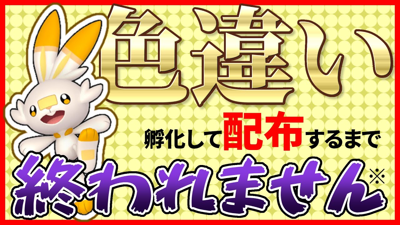 オシャボ色ヒバニー孵化して配布するまで終われません※【ポケモンSV】Part3