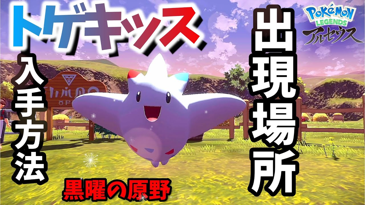 黒曜の原野 トゲキッス 出現場所！ライドがアヤシシのみでの行き方を説明！ 【ポケモンアルセウス  】