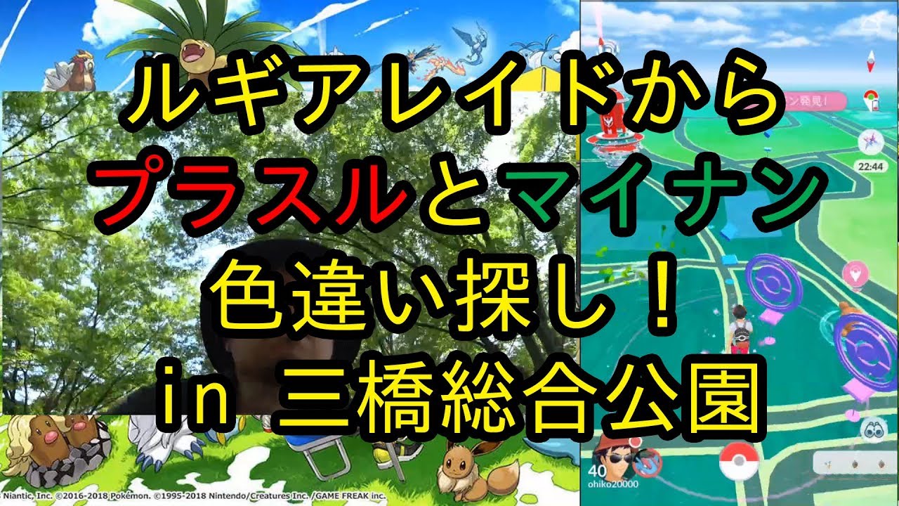 【ポケモンＧＯ】ルギアレイドからのプラスルとマイナンの色違い探し！
