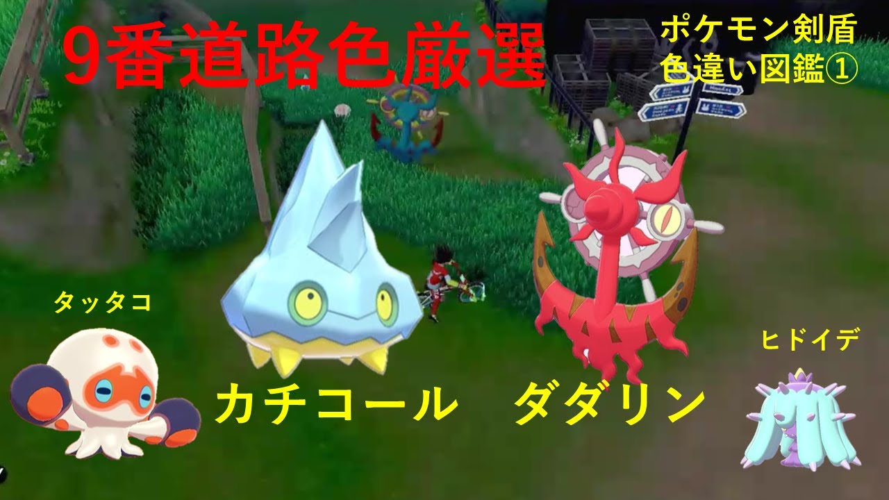 【ポケモン剣盾】色違いダダリン、カチコールを捕まえる【めざせ色図鑑完成①9番道路】ゆっくり実況