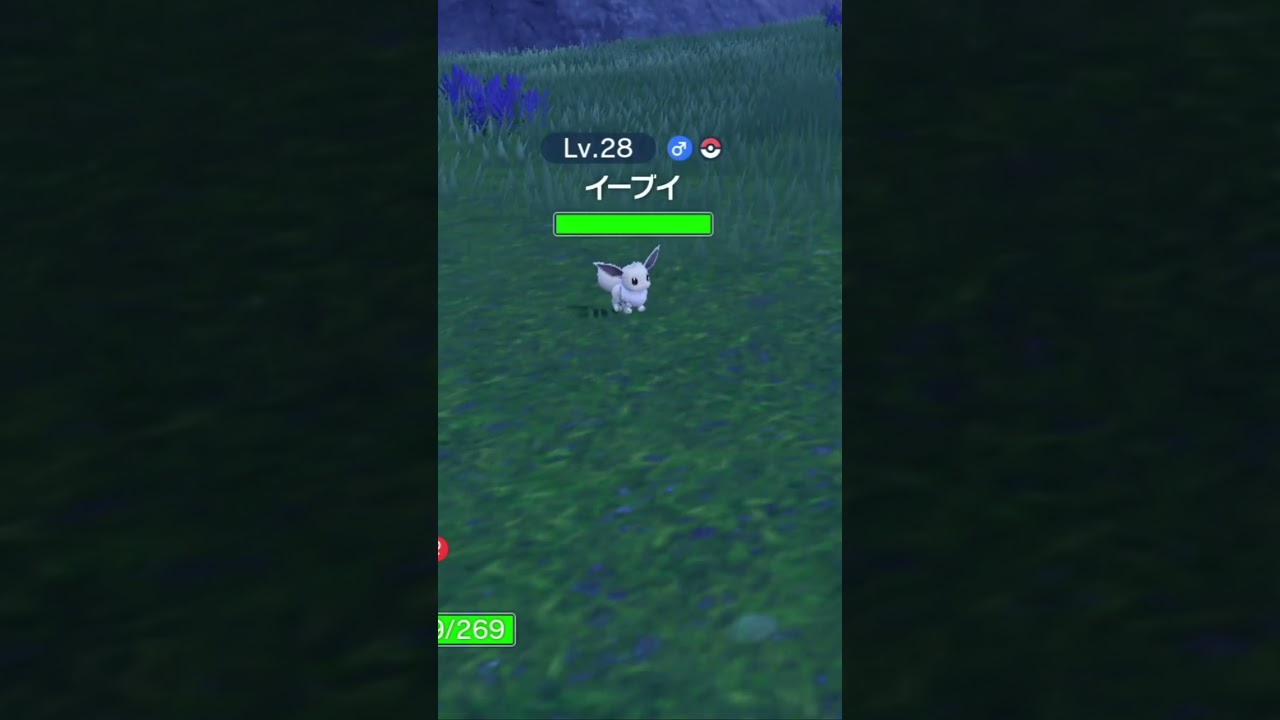 【ポケモンsv】未だに♀色違いイーブイが出ません