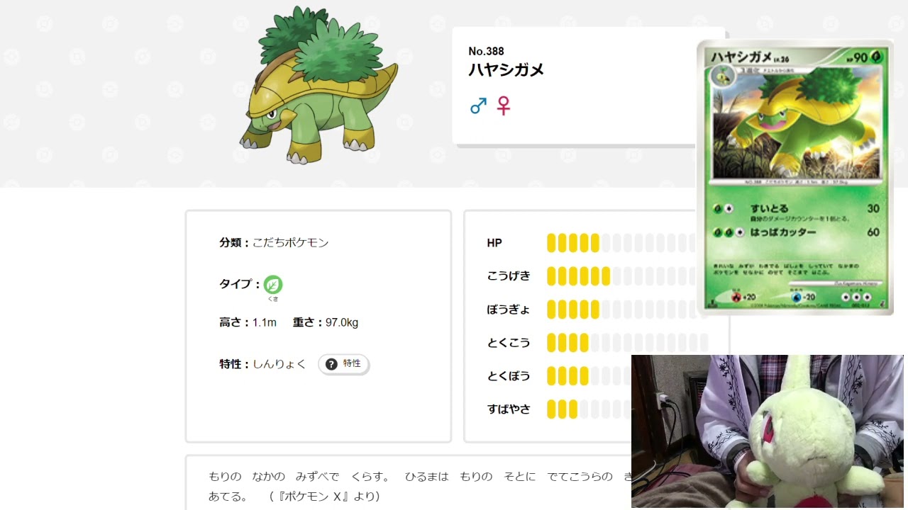 毎日ポケモン図鑑17日目　全国図鑑No.388ハヤシガメ