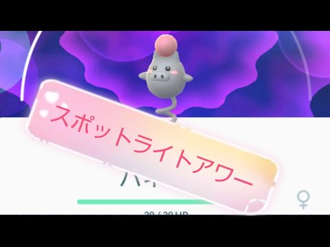 【ポケモンGO】 今週のスポットライトアワーはバネブー！！#9