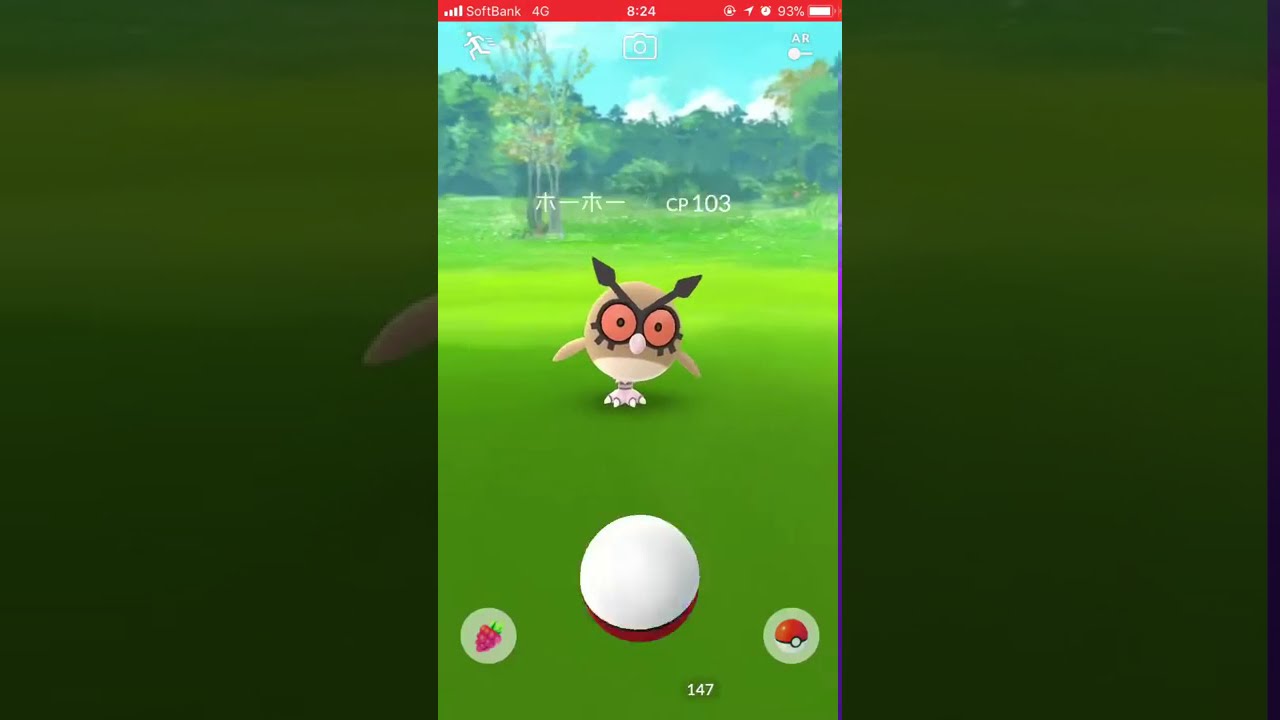 ポケモンGO初ゲット〜ホーホー