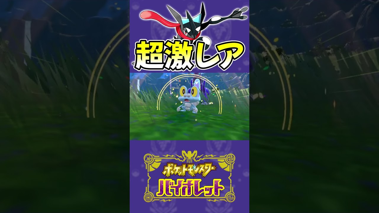 【ポケモンsv】とんでもないケロマツ色違いをGETしてしまったwww　#shorts
