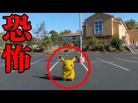 世界のピカチュウを捉えた映像11選