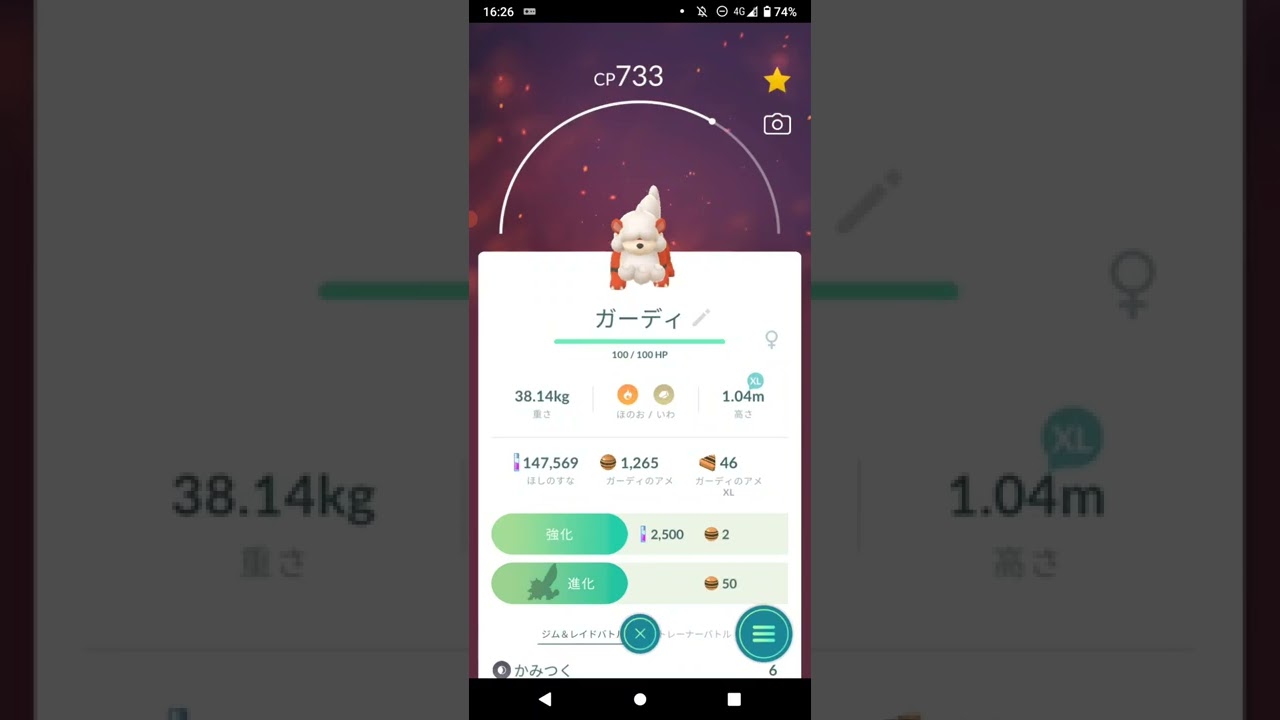 ポケモンGO「ガーディ（ヒスイのすがた）からウインディに進化」#shorts