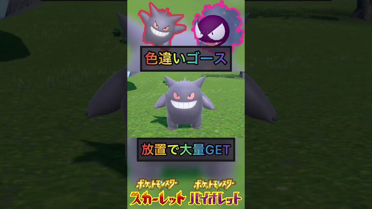 放置してるだけで色違いゴースが大量GET【 #ポケモンsv 】