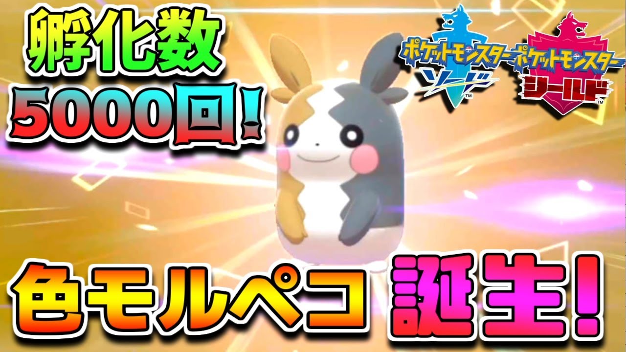 孵化数5000回でついに色違いモルペコが誕生！【ポケモン剣盾】🦕