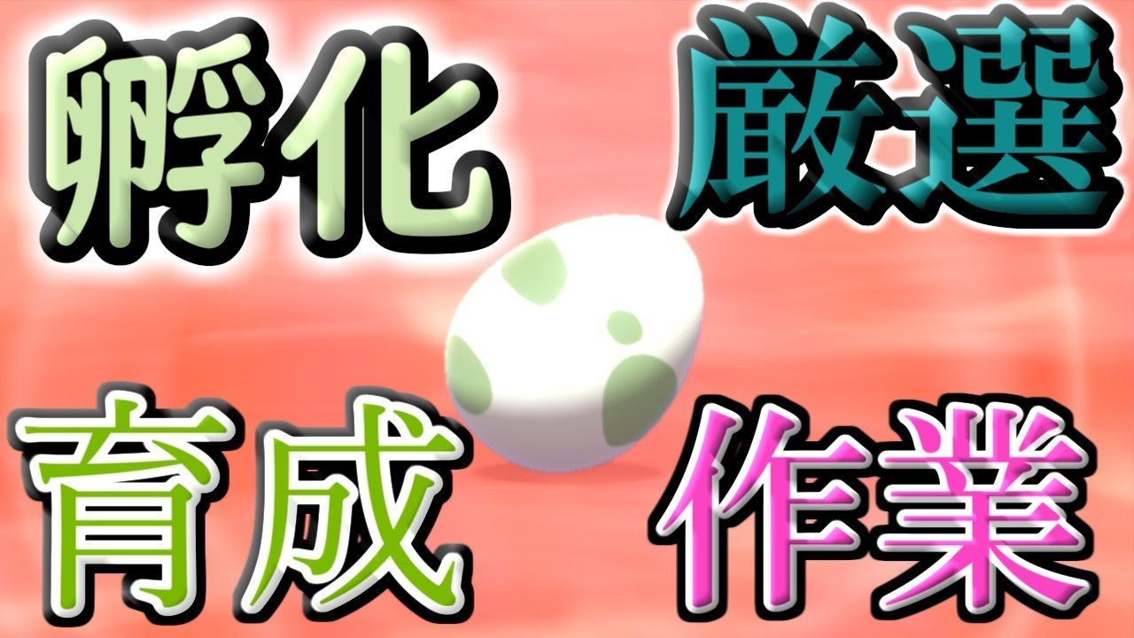 【ポケモン剣盾】緊急事態発生　色違いS0テブリム配布1人1匹