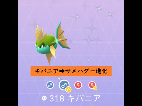 【ポケモンGO】色違い進化動画 キバニア➡サメハダー#Shorts