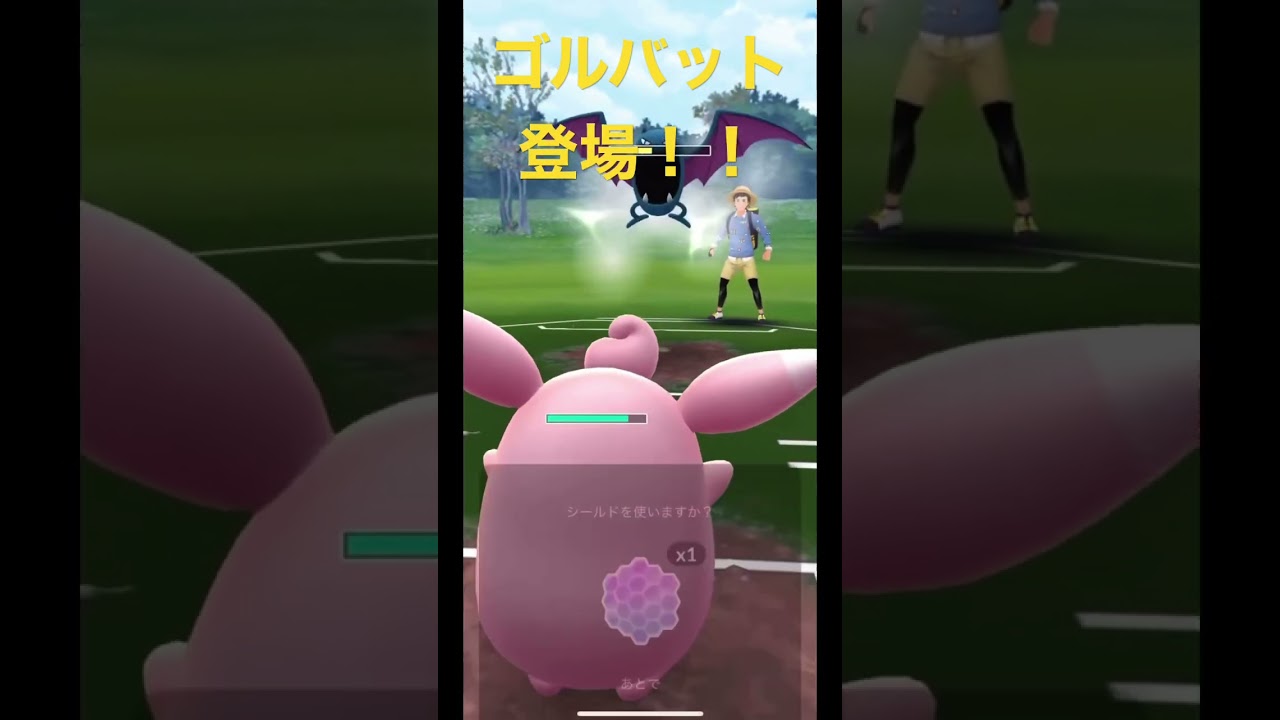ゴルバット登場！！【Golbat】