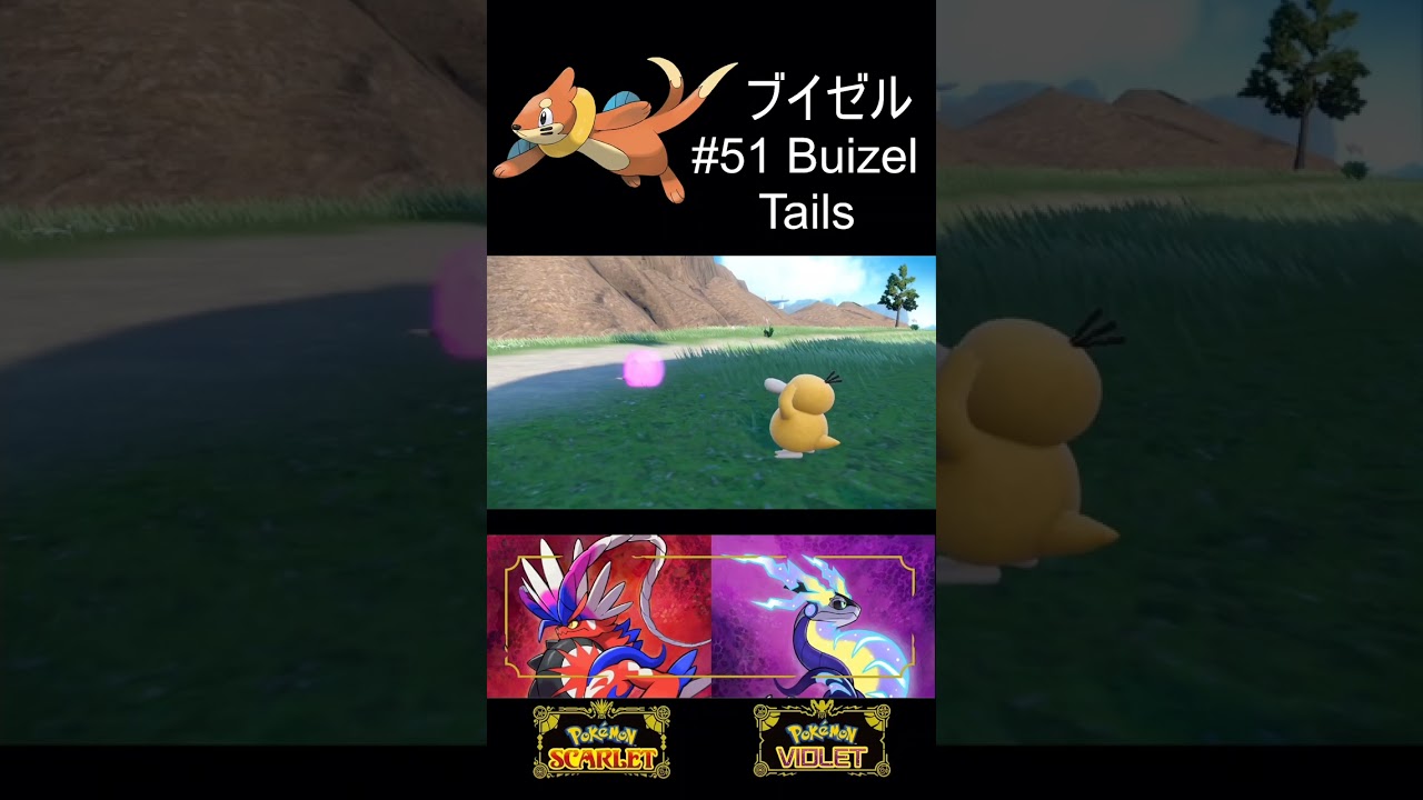 #51 Buizel ブイゼル Pokémon Scarlet/Violet