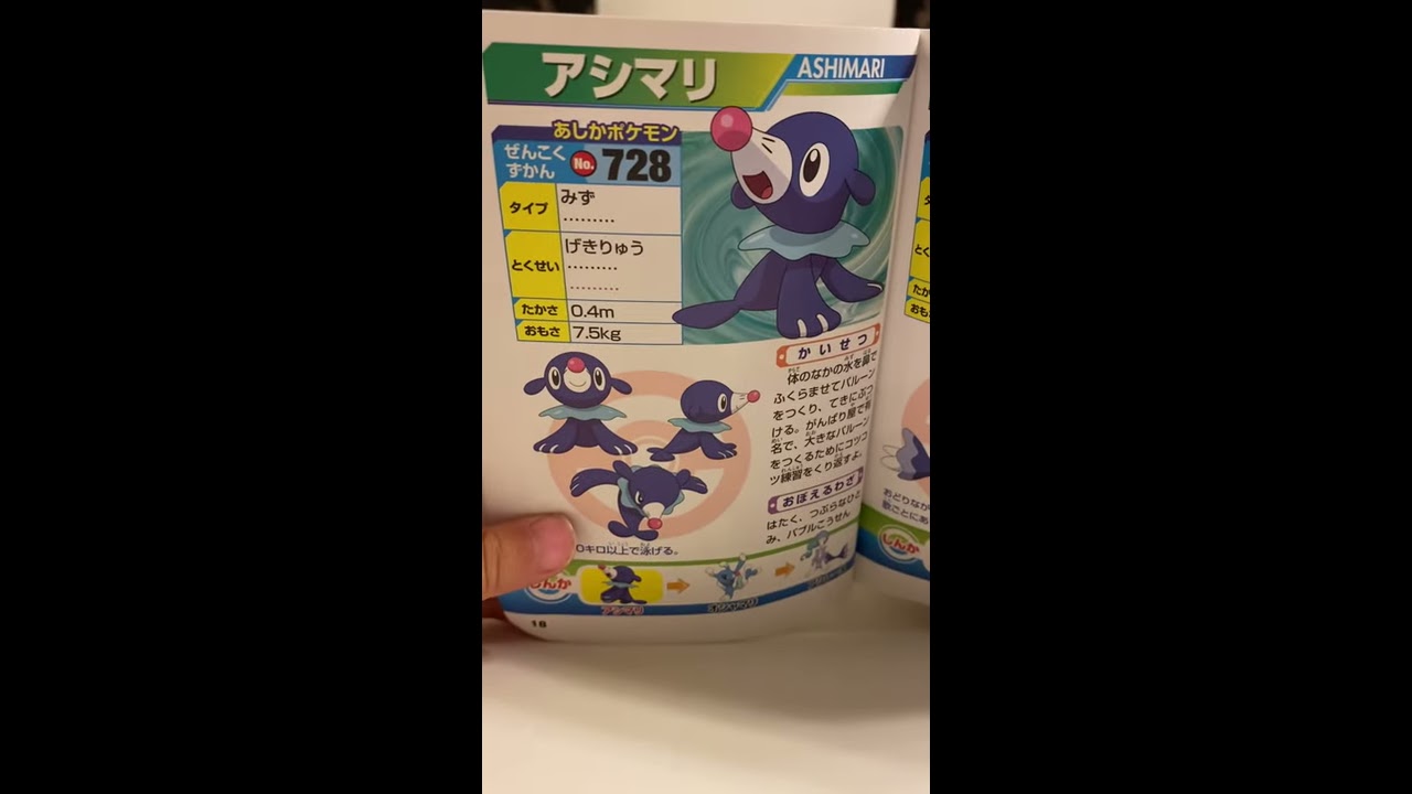 アシマリの紹介　ポケモンキャラクターポケットモンスター
