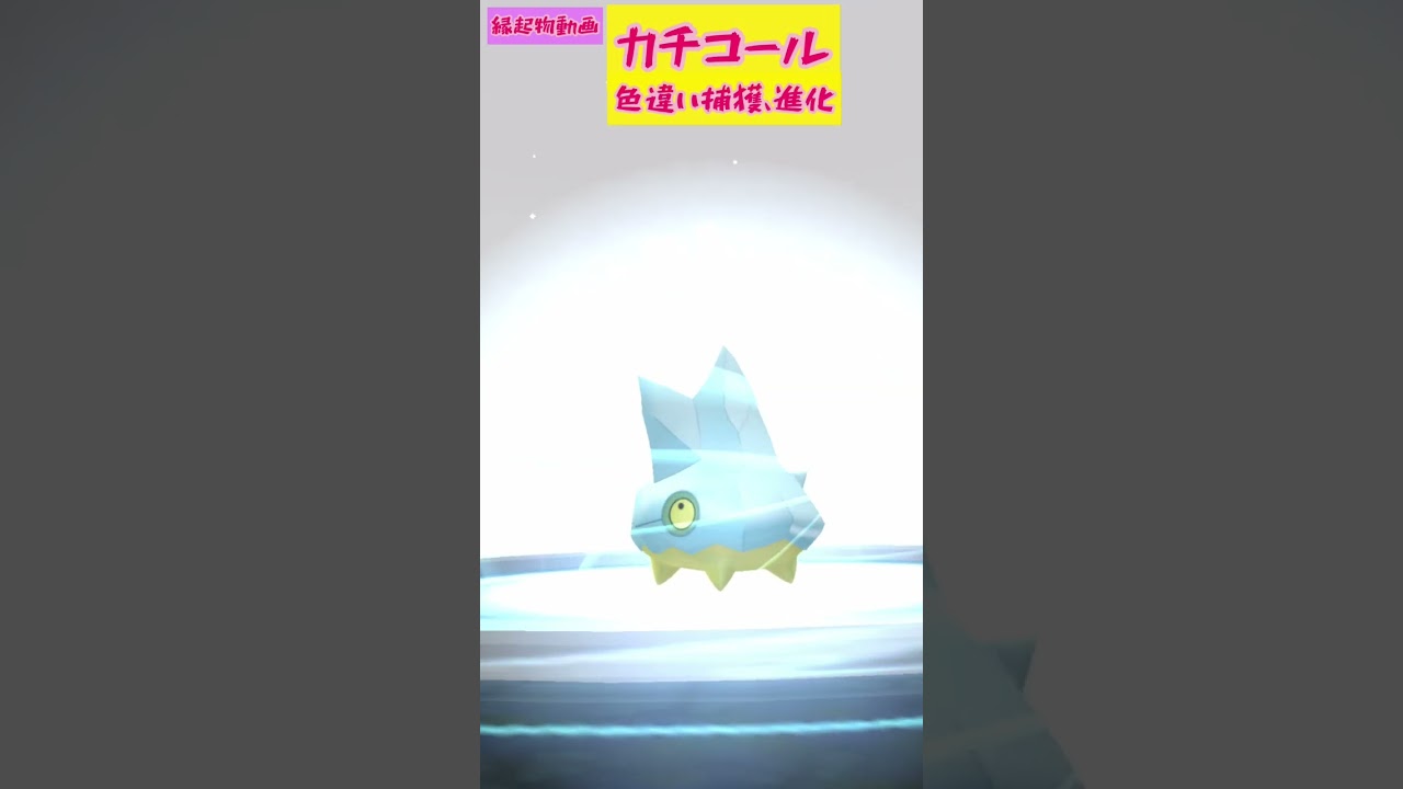 カチコール色違い捕獲、進化　ポケモンGO　縁起物動画
