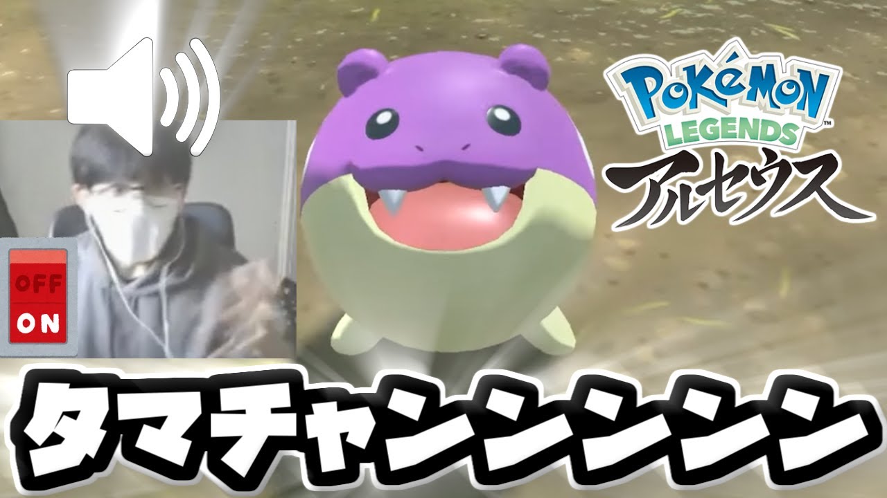 タマザラシとエコー芸を覚えたタマザラシニキ【ごまちゃん切り抜き】【ポケモンLEGENDSアルセウス】