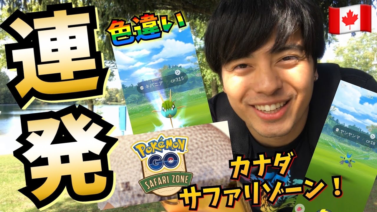 カナダで色違いヤンヤンマGET☆会場間違えて出遅れるも色違い連発！【ポケモンGO】