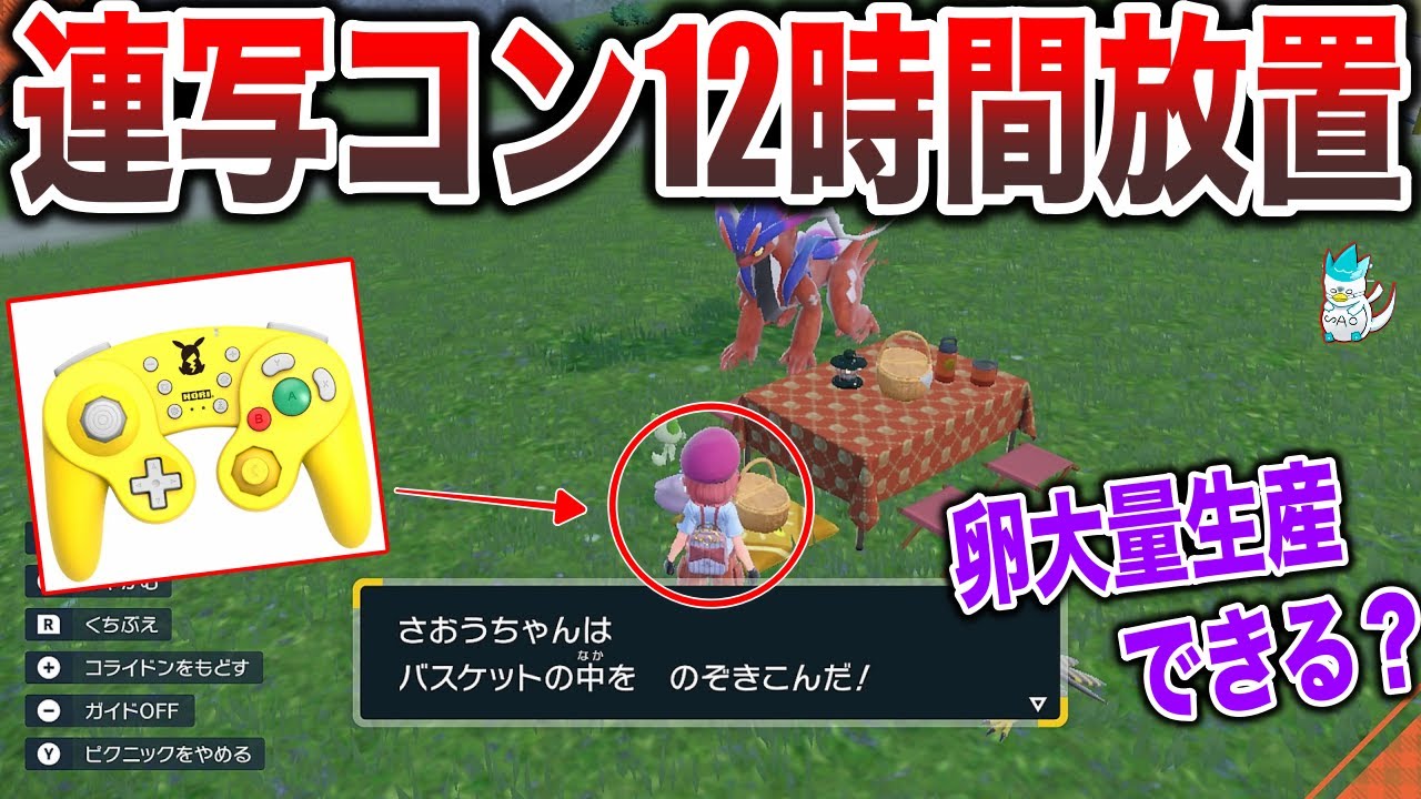 【睡眠孵化】この技が使えない理由...それは”タマゴバスケットの仕様が〇〇だから”検証解説！！【連射コントローラー】【ポケモンSV】