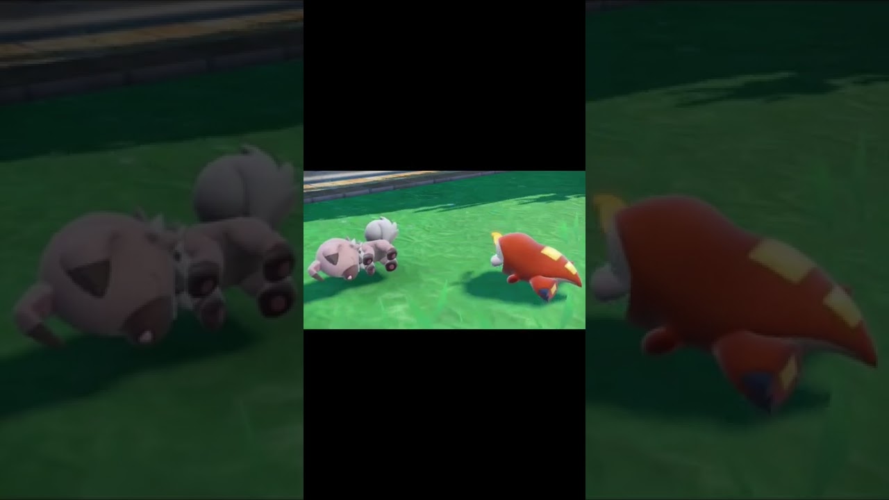 眠るイワンコとホゲータ #shorts #ポケモンsv #ポケモン