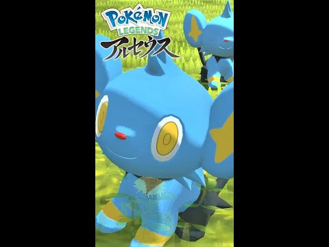 【疲れた人向け】6匹のコリンクを見て癒されよう【ポケモンレジェンズアルセウス】#Shorts