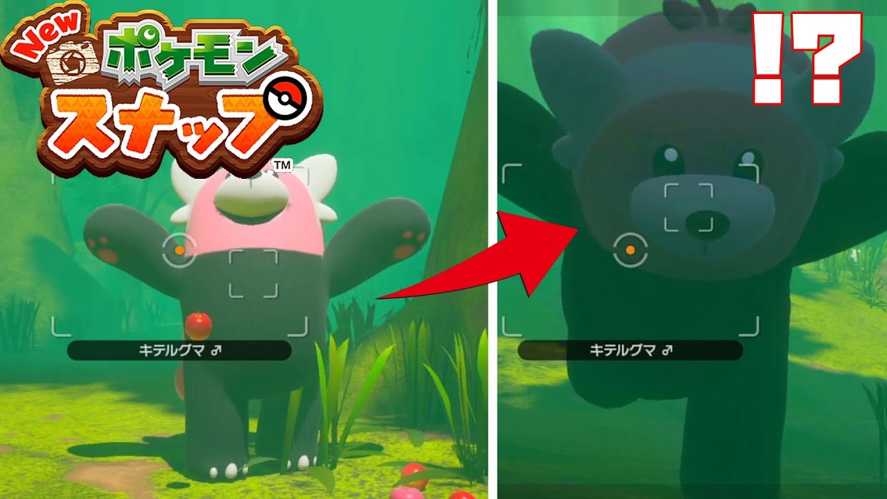 キテルグマが怖すぎるｗｗｗこいつは怒らせたらあかん。。。【New ポケモンスナップ】実況プレイ#7