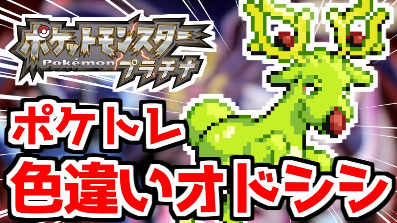 色違いオドシシをポケトレで狙うぞ 【ポケモンDPPt】