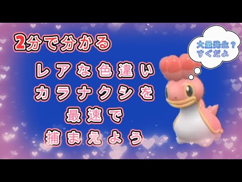 色違いのカラナクシをすぐ見つける方法 ＃ポケモンSV ＃色違い ＃カラナクシ