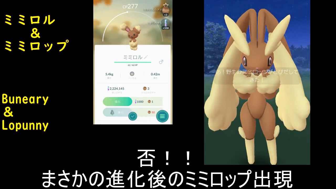 ミミロルとミミロップ【ポケモンGO】
