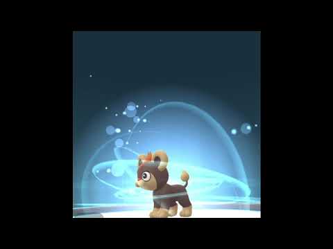 シシコが進化するぞ！！