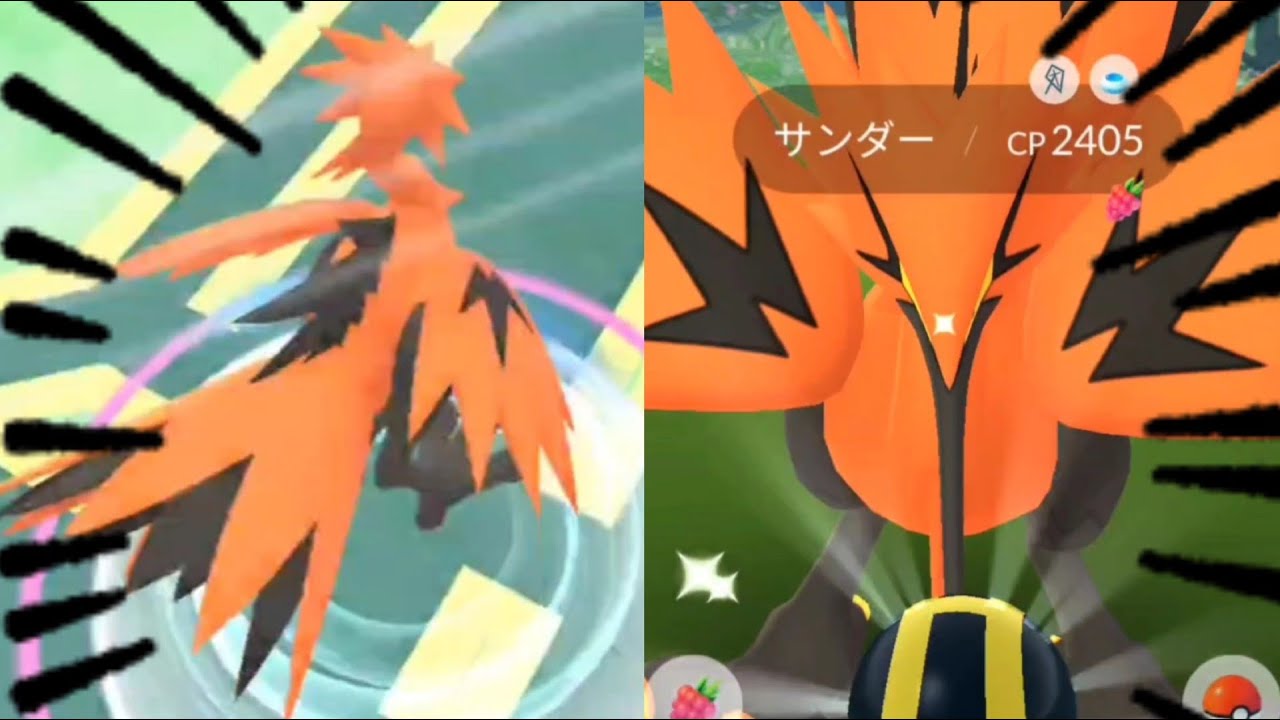 【おさんぽおこう】野生のガラルサンダーが飛び出してきた！！が…。ポケモンGO/ポケモン剣盾/ガラル三鳥/shorts
