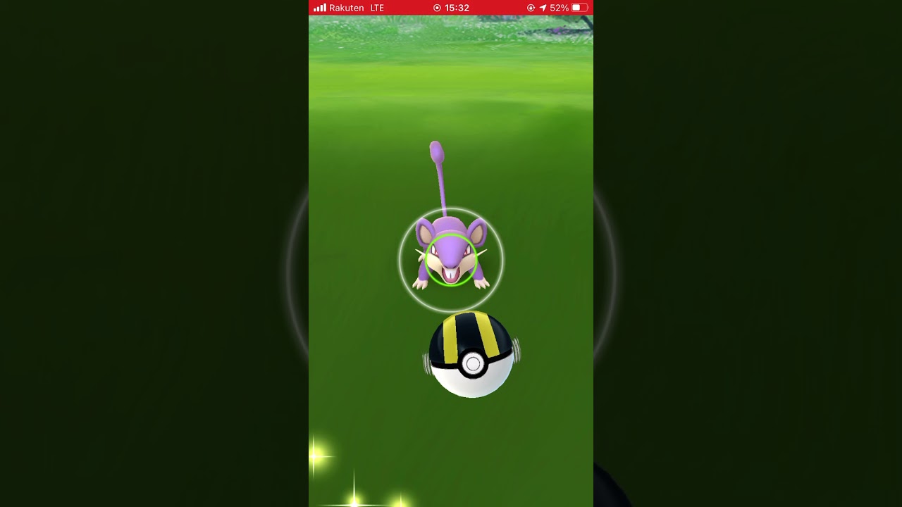 【ポケGO】コラッタがボールで遊ぶ