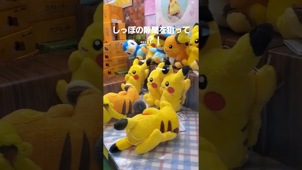 【UFOキャッチャー ドン・キホーテ】ピカチュウ ライチュウダブルゲットチャンス到来？！