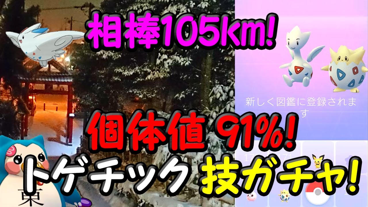 トゲチックに進化厳選技ガチャ！相棒105kmトゲピー個体値91％