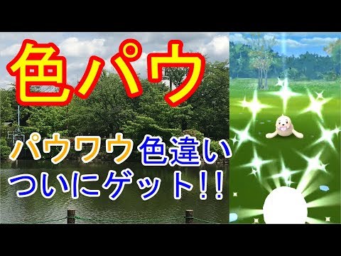 【ポケモンGO】ついに、パウワウ色違いゲット！！【Pokemon GO】Finally, get Pow Wow!