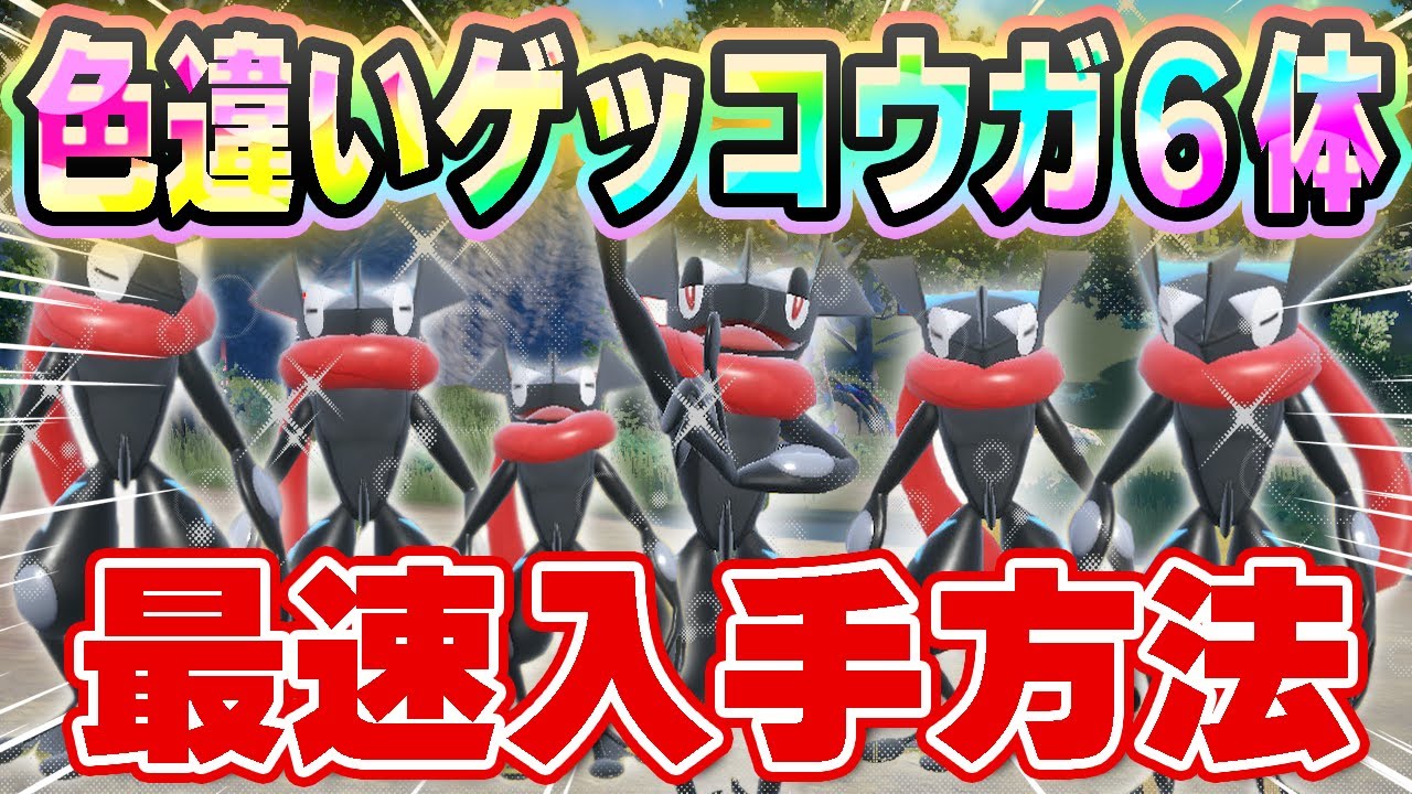 海外メタモンは使わない！1番簡単に効率よく色違いゲッコウガをゲットする方法！【ポケモンSV】【最強ゲッコウガ】【色違いゲッコウガ】【孵化厳選】【色違いゲッコウガ入手方法】【色違いゲッコウガ配布】