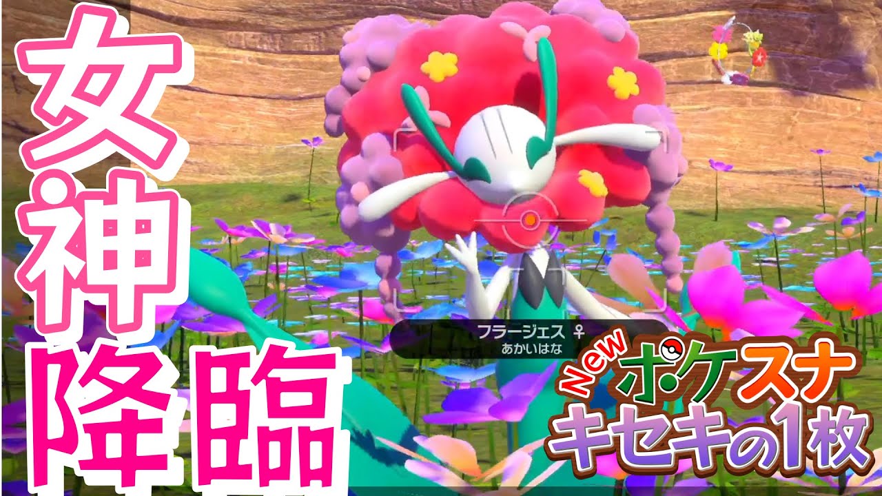 【安定のスバメ】早速撮れた？キセキの1枚【Newポケモンスナップ】#2