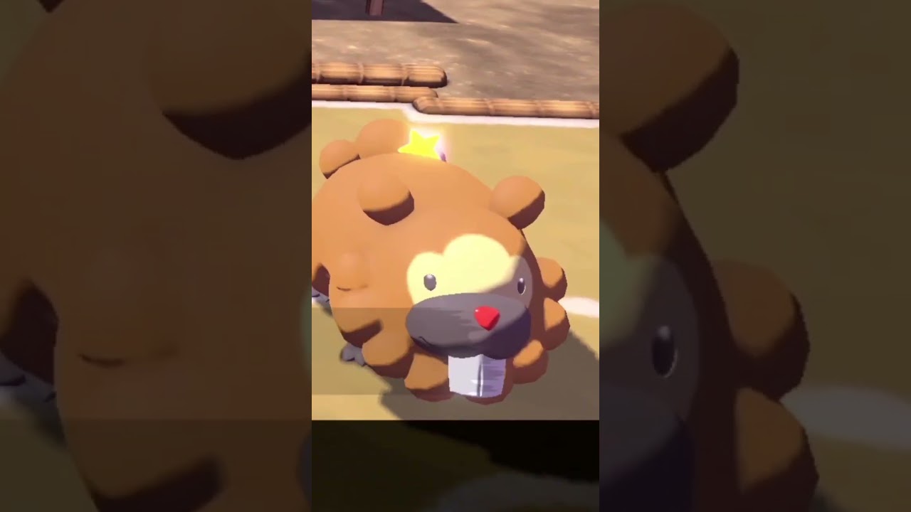 かわいいビッパ