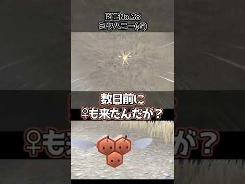 【ポケモンSV】カムカメの色違い、なんか海外のオモチャっぽくない？【本日の色違い】　#Shorts