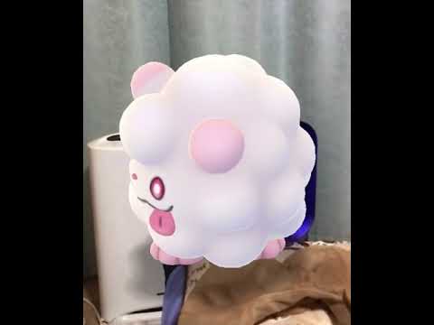 ポケモンGO 相棒のペロッパフがホラー