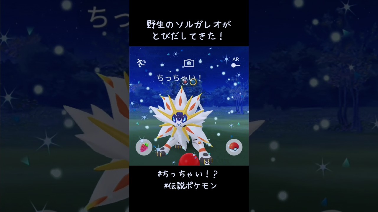 野生のソルガレオがとびだしてきた！！ちっちゃい！？めっちゃでかいやん🤣#ポケモンGO #ゾロア #相棒に変身