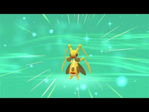 ポケモンＢＤＳＰ　色違いコロボーシをコロトックに進化させる
