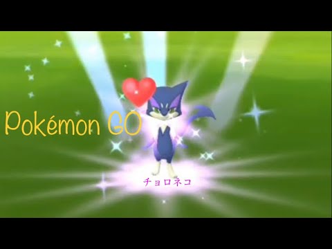 【Pokémon GO】チョロネコ色違い　#ポケゴー #ポケモンgo