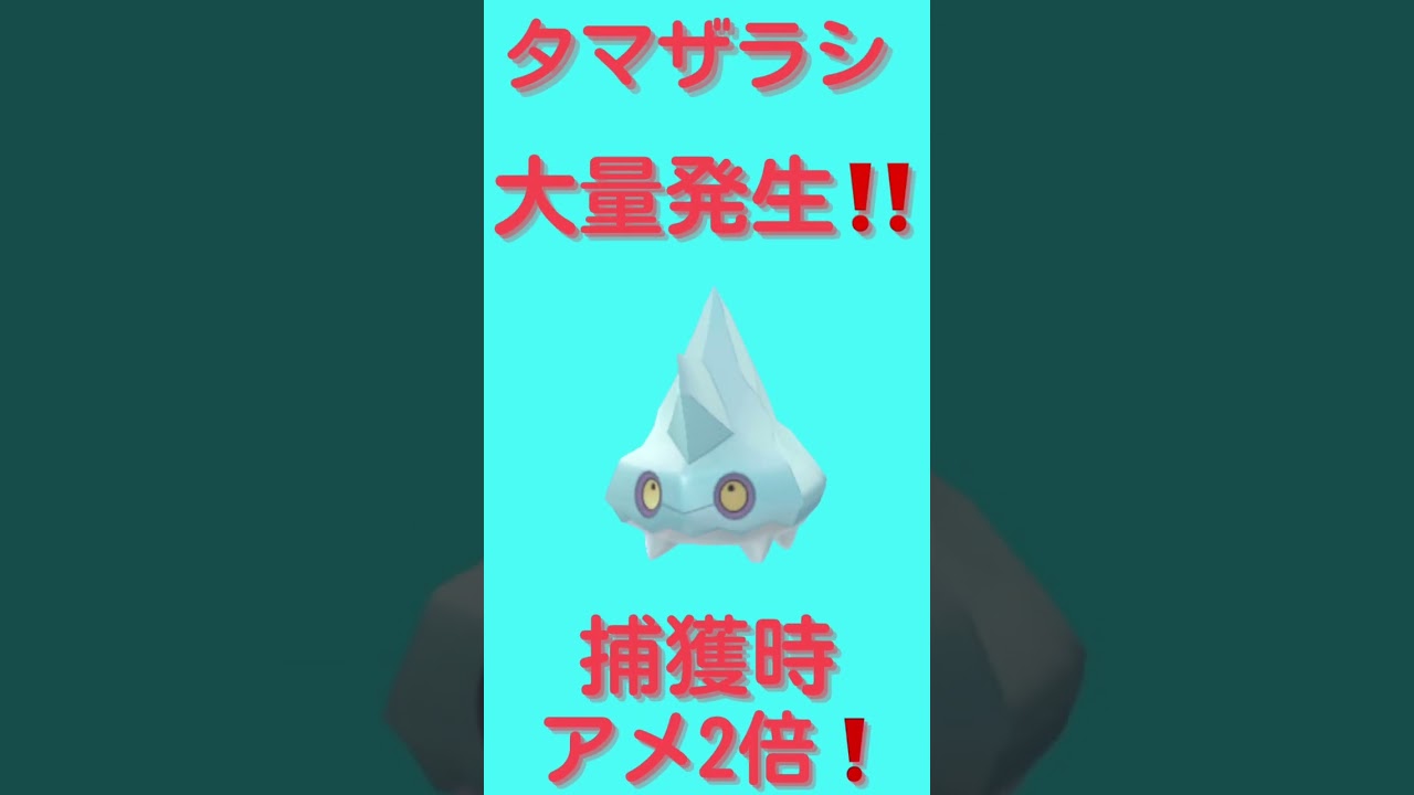 本日のスポットライトアワーはカチコール❗️